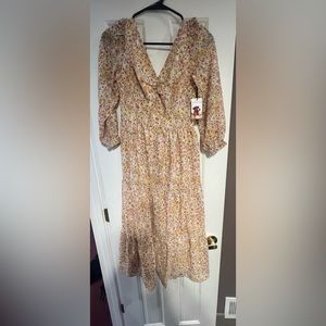 NWT Sincerely Jules Spring midi dress.